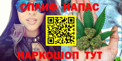 тгк Тула