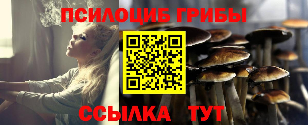 Волжский  Галлюциногенные грибы мухоморы  Вход с VPN 